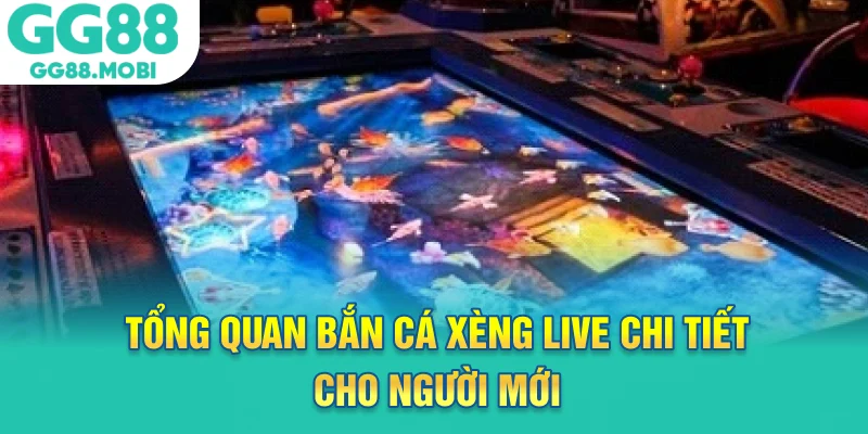 Tổng quan bắn cá xèng live chi tiết cho người mới